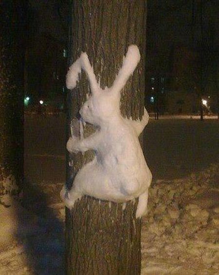 Заяц на дереве