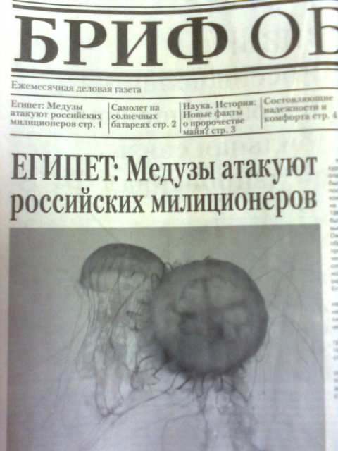 Медузы атакуют