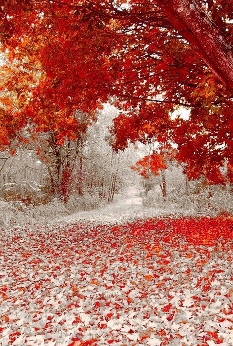 Осень и зима