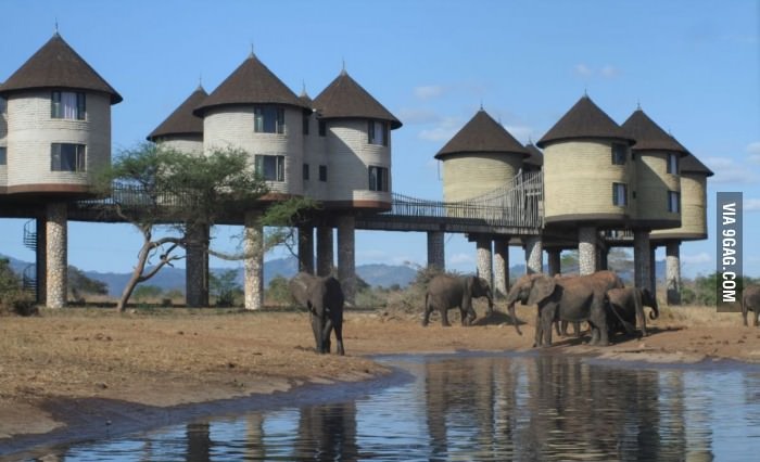 Отель в Кении