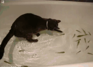 Рыбалка в ванне