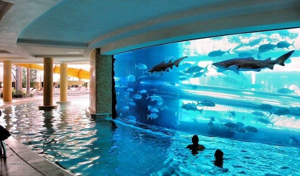 Бассейн и аквариум в отеле, Лас-Вегас