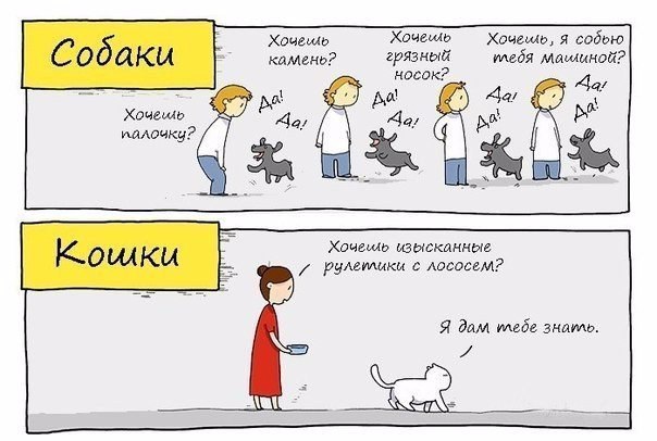 Собаки и кошки