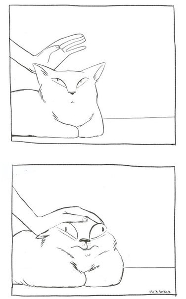 Как гладить кошку